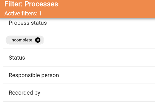 2021-03-23_ Prozessstatus Filter offene_EN.png